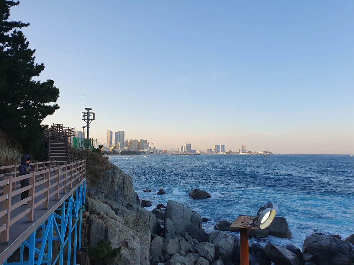 멀리보이는 속초시내와 속초아이(대관람차)