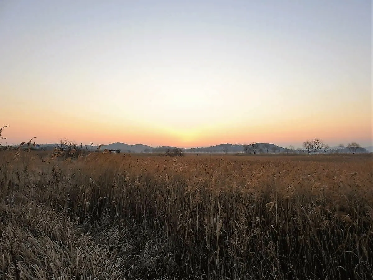 2023년 첫 일출 직전