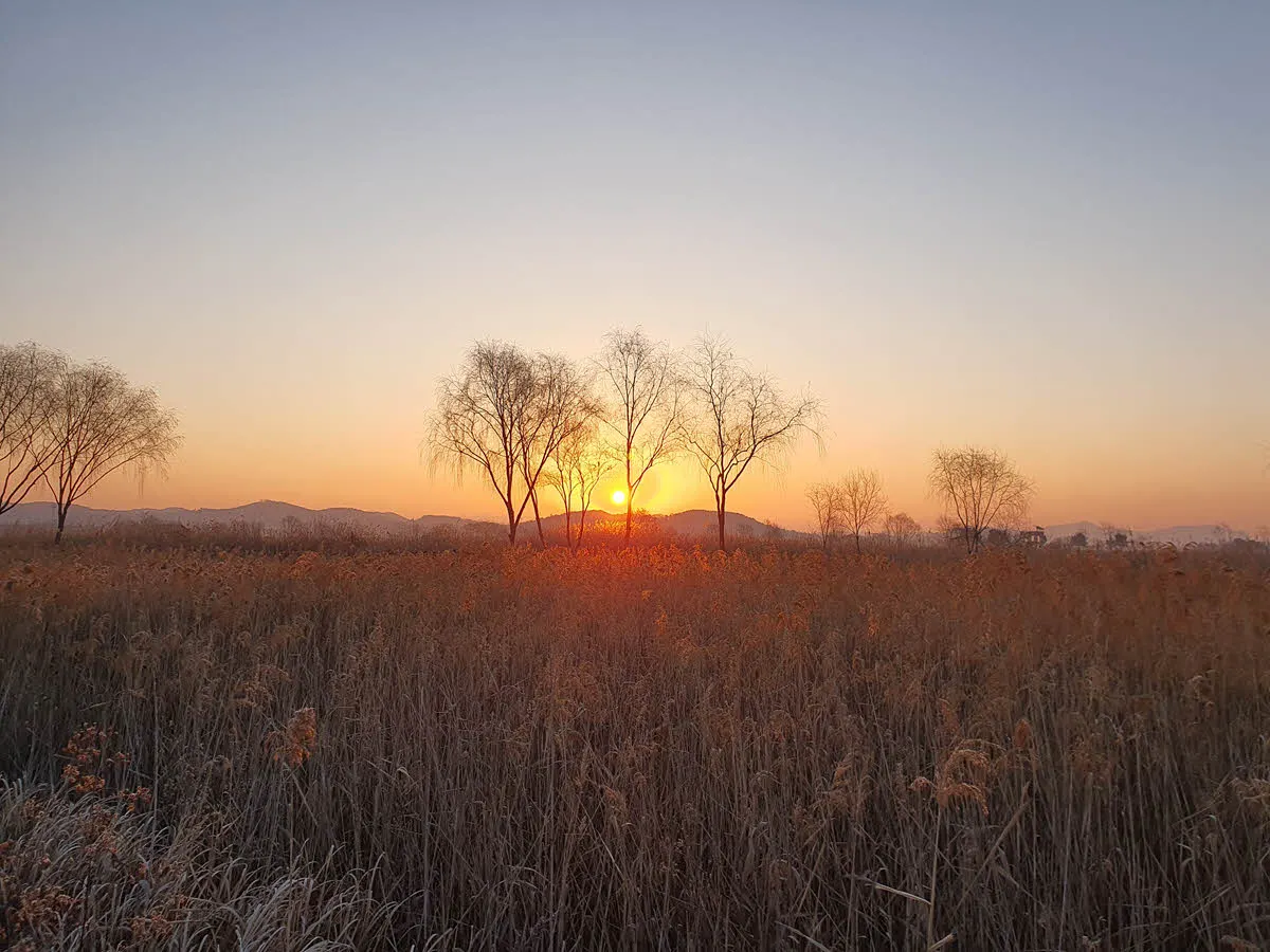 2023년 1월 1일 첫 일출 (소래생태습지공원)