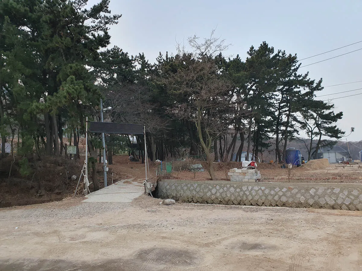 본격적인 등산로 입구