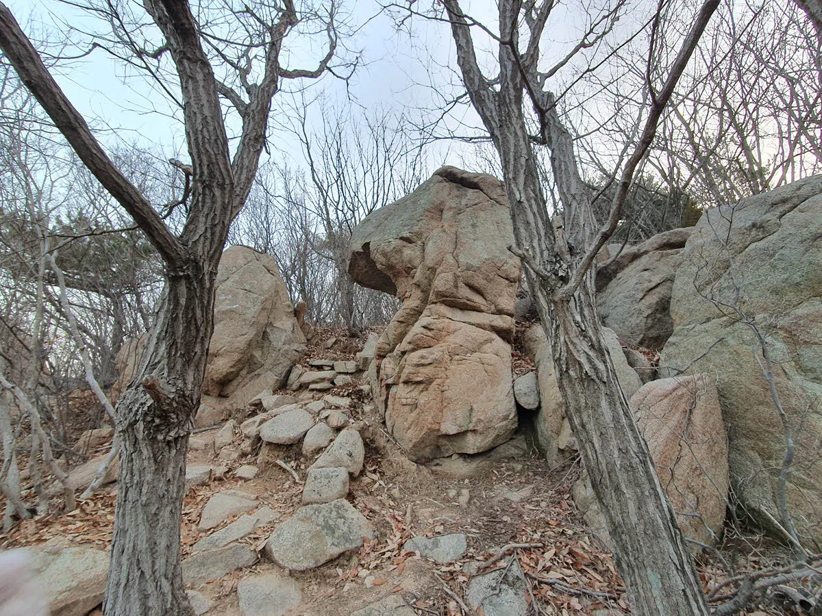 높지 않지만 만만치 않은 험로를 가진 호룡곡산