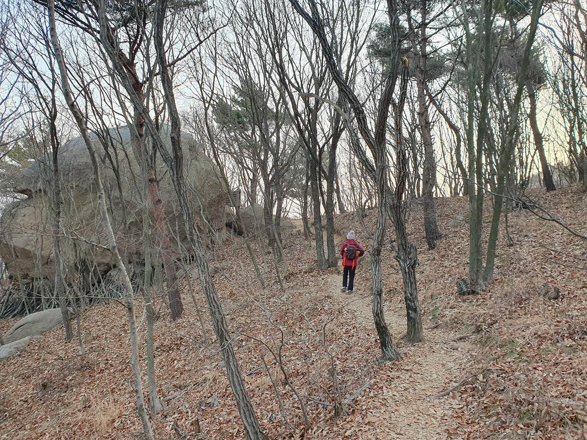정상으로 오르는 주능선과 만난다.