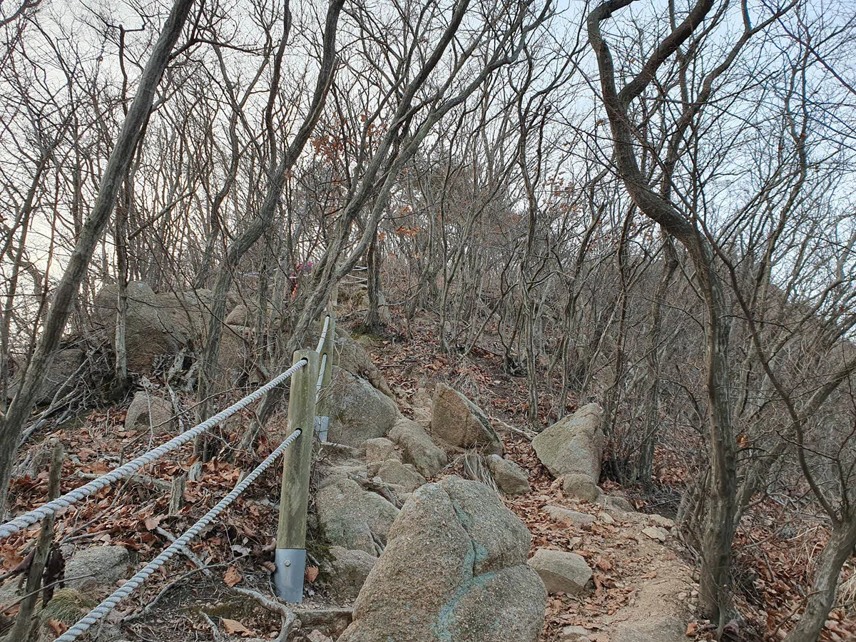 꽤 험한 호룡곡산 등산로