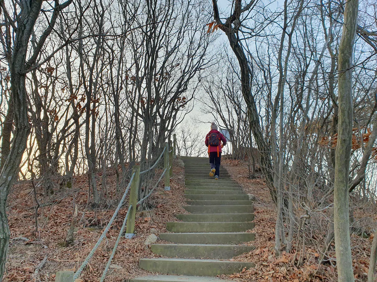 호룡곡산 정상가는 길