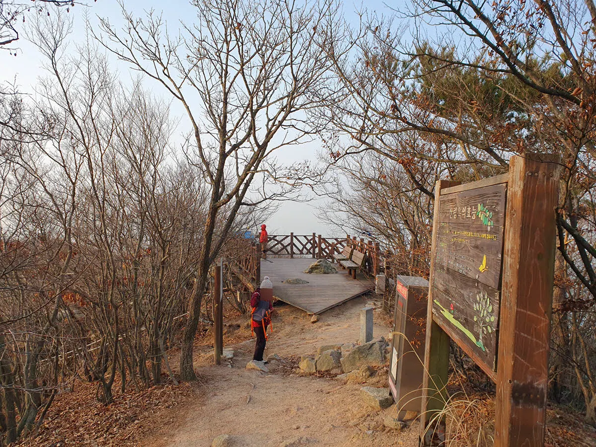 호룡곡산 정상의 전망대