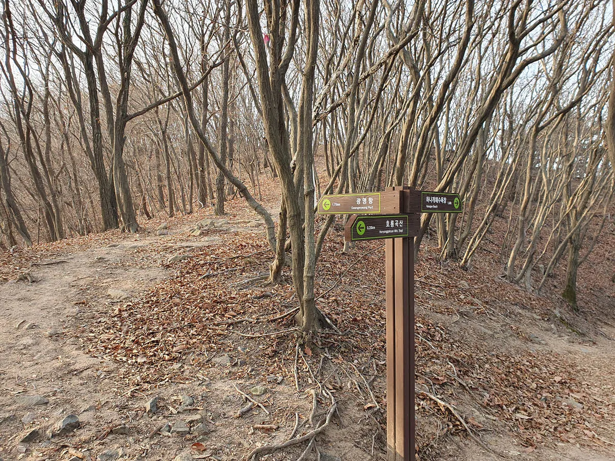 호룡곡산 정상을 지나 나오는 갈림길