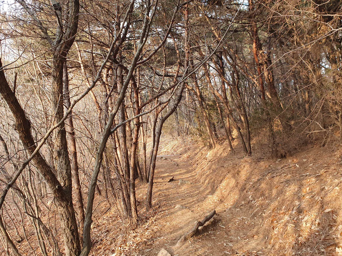 무의도 해상관광탐방로 방면 하산길