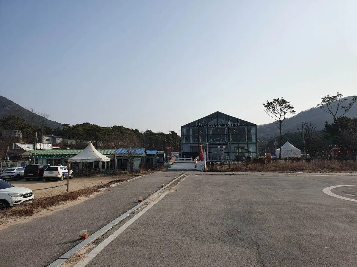 하나개팜 온실카페