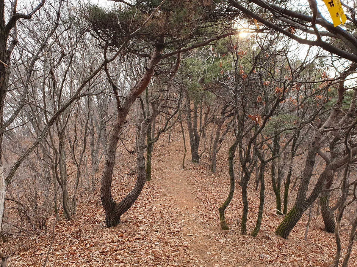 길상산 주능선