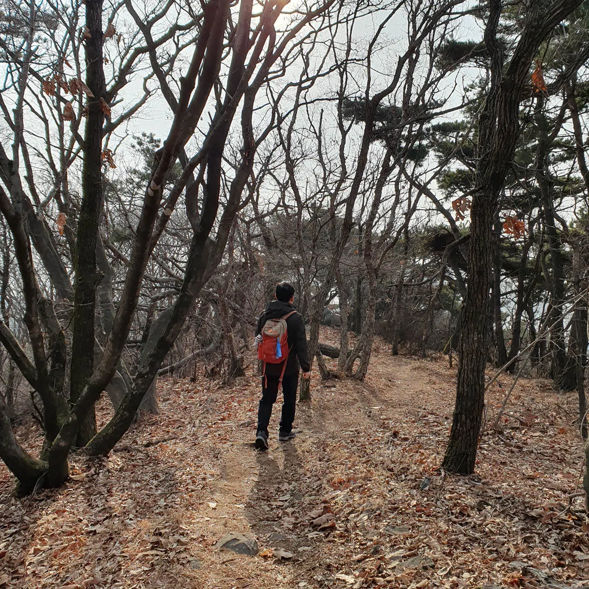 가천대학교 방면 등산를 따라 하산 중