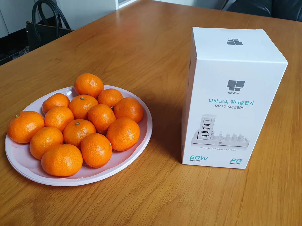 나비 고속 멀티 충전기 - NV17-MC550P