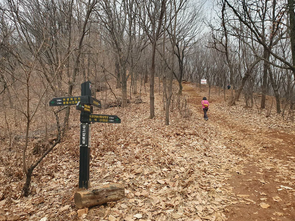 광명공고 갈림길
