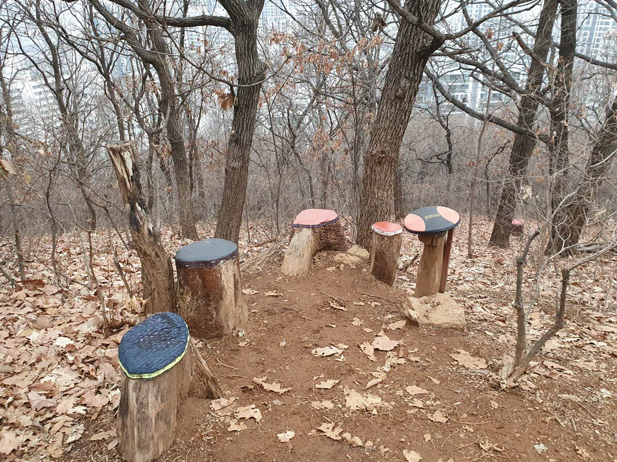 그루터기를 이용해 만든 쉼터