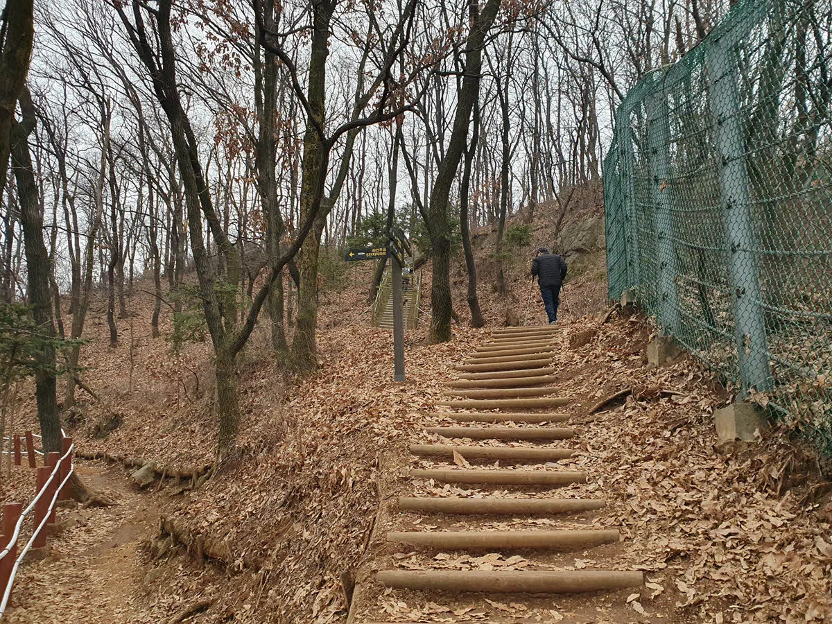 도덕산 정상 가는길