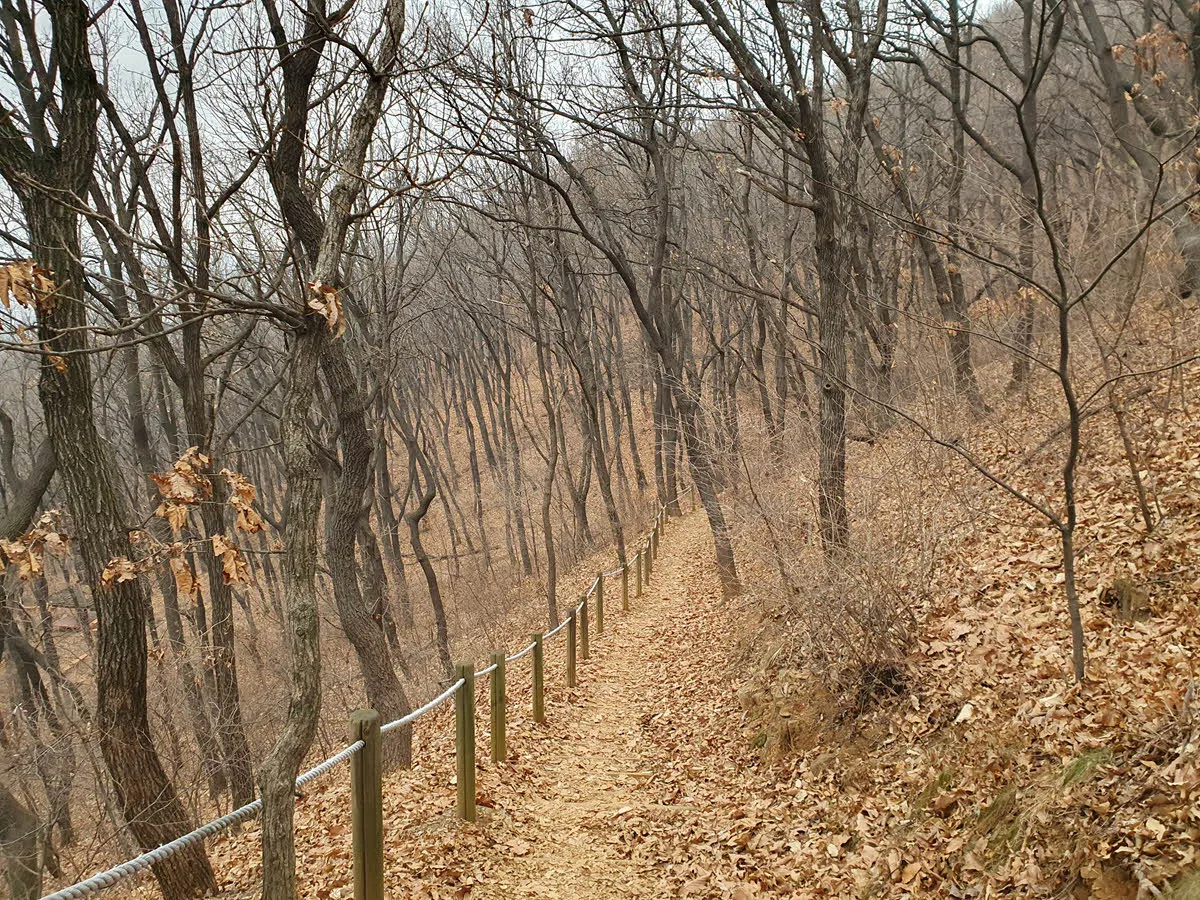 도덕산 하산길