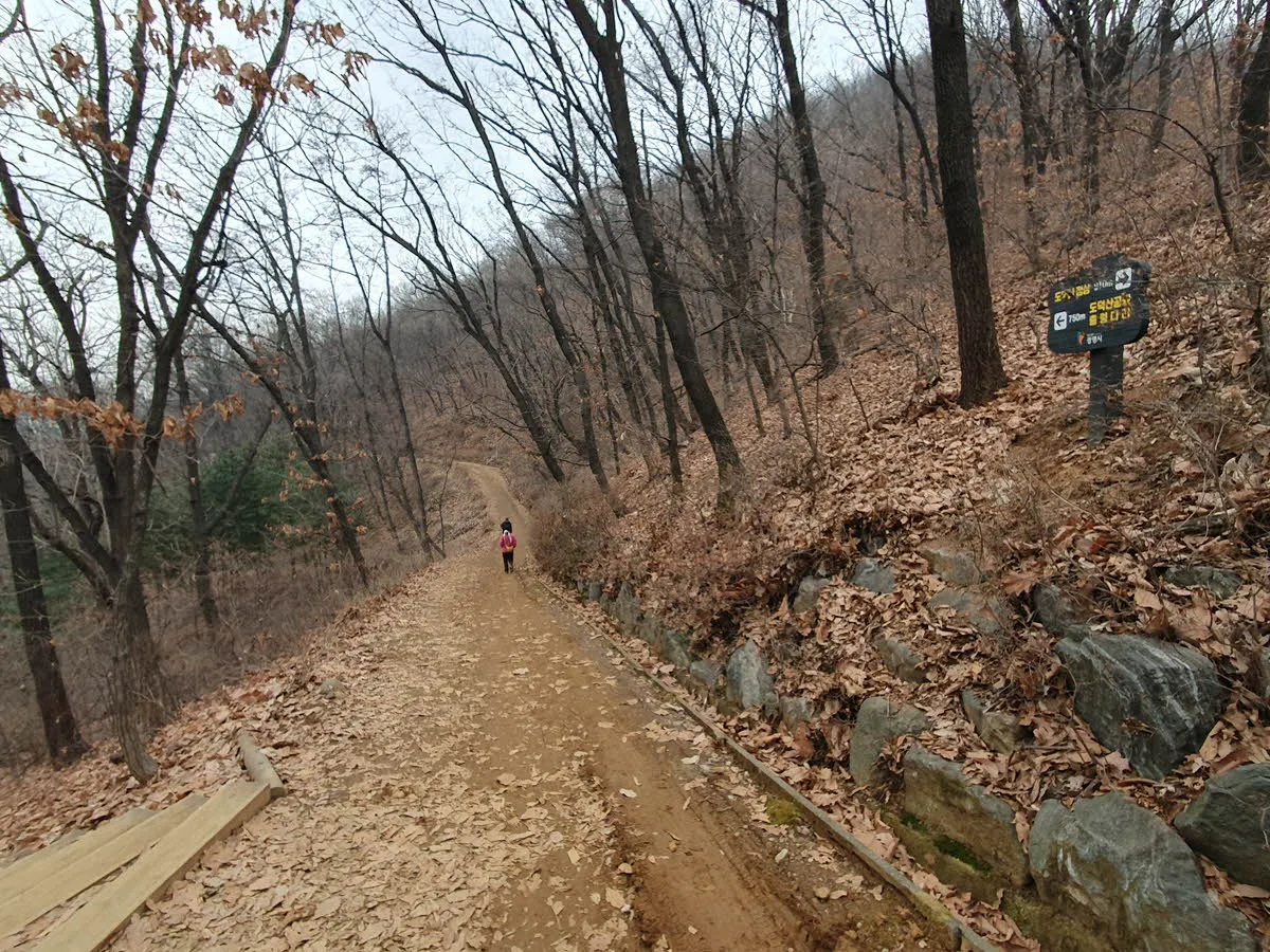 향군회관-도덕산 출렁다리 갈림길