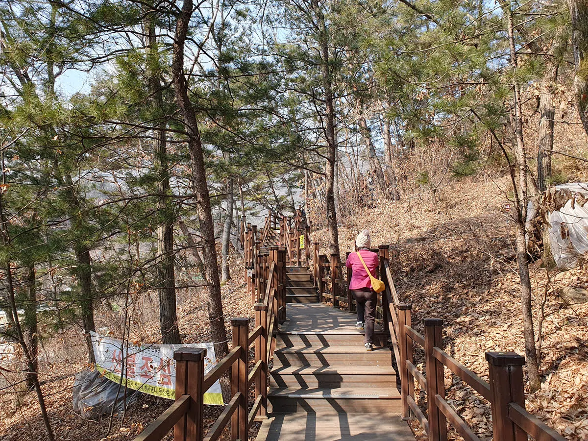 소금산 출렁다리로 가는 데크 계단길