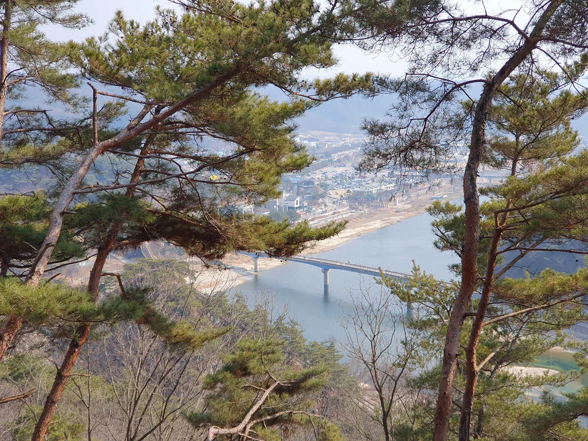 소금산 출렁다리 가는 길