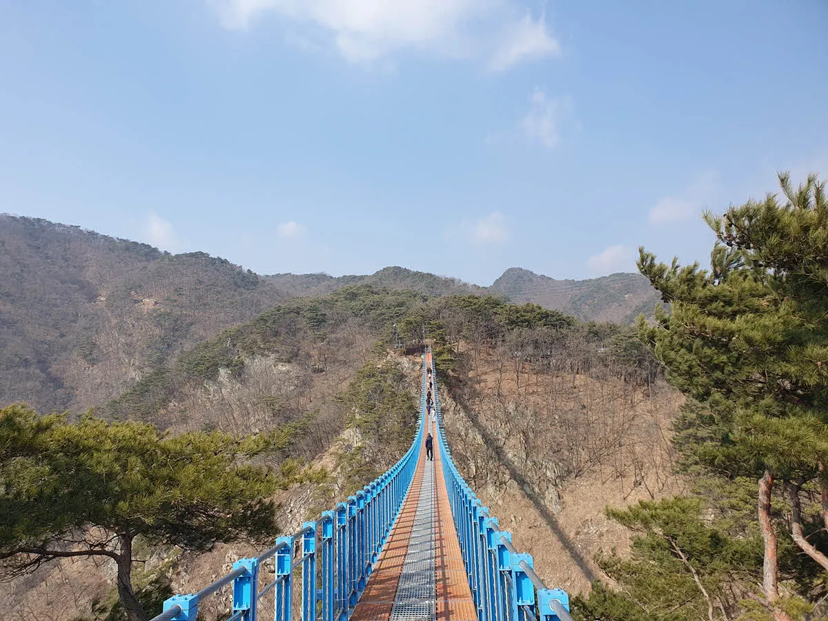 원주 소금산 출렁다리