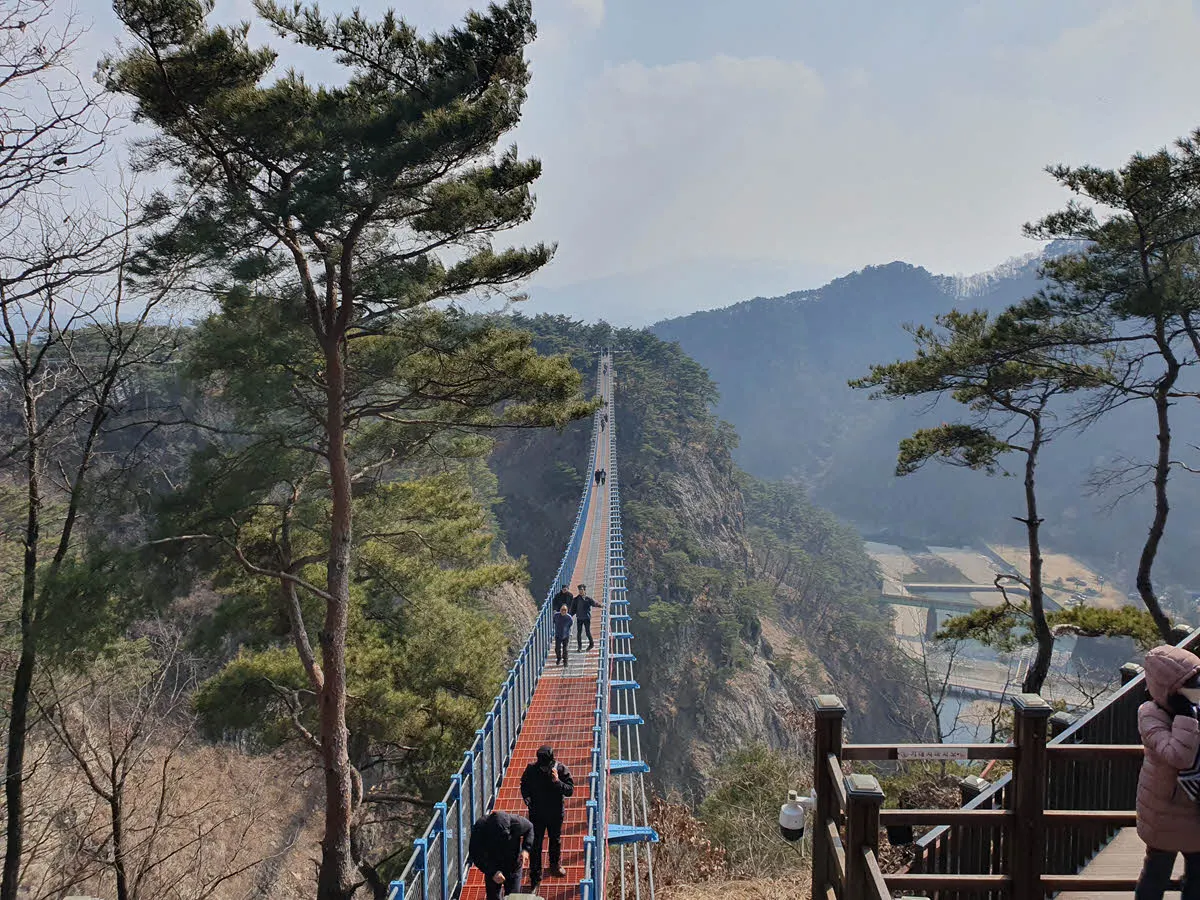 원주 소금산 출렁다리