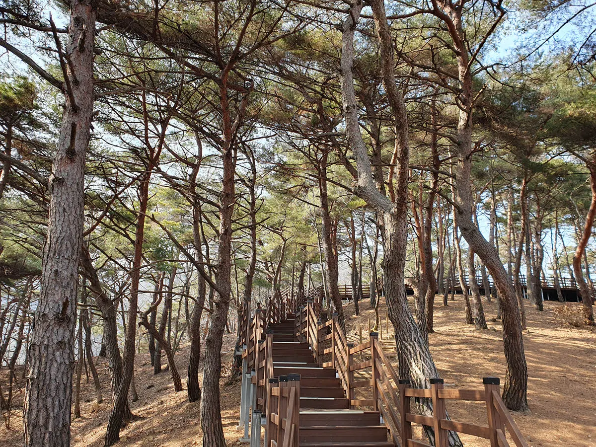 소금잔도 까지 이어지는 데크길