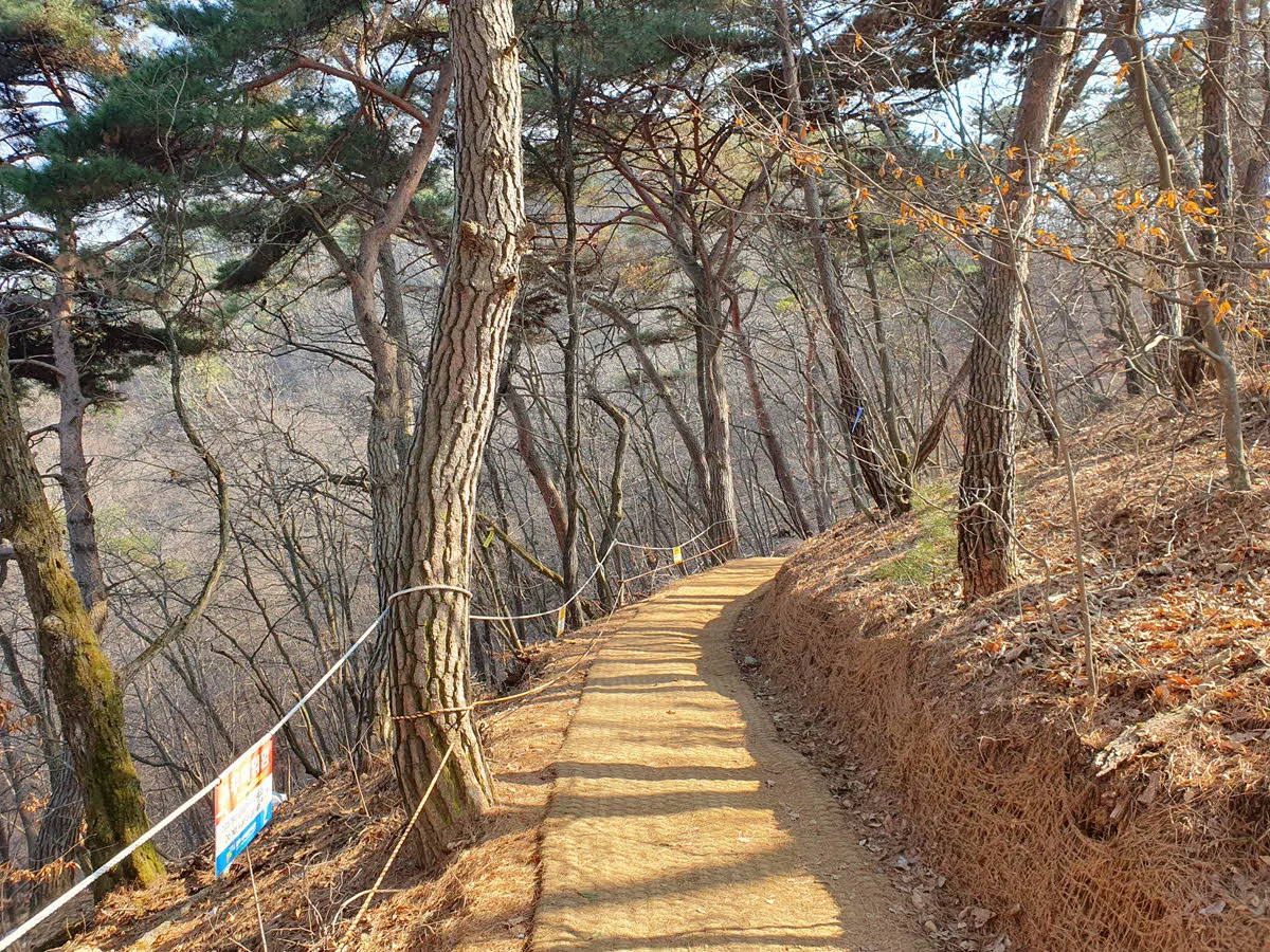 울렁다리를 지나 하산한다.