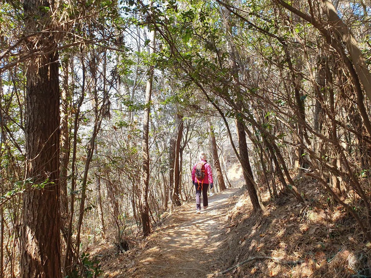 대장봉오르는 길