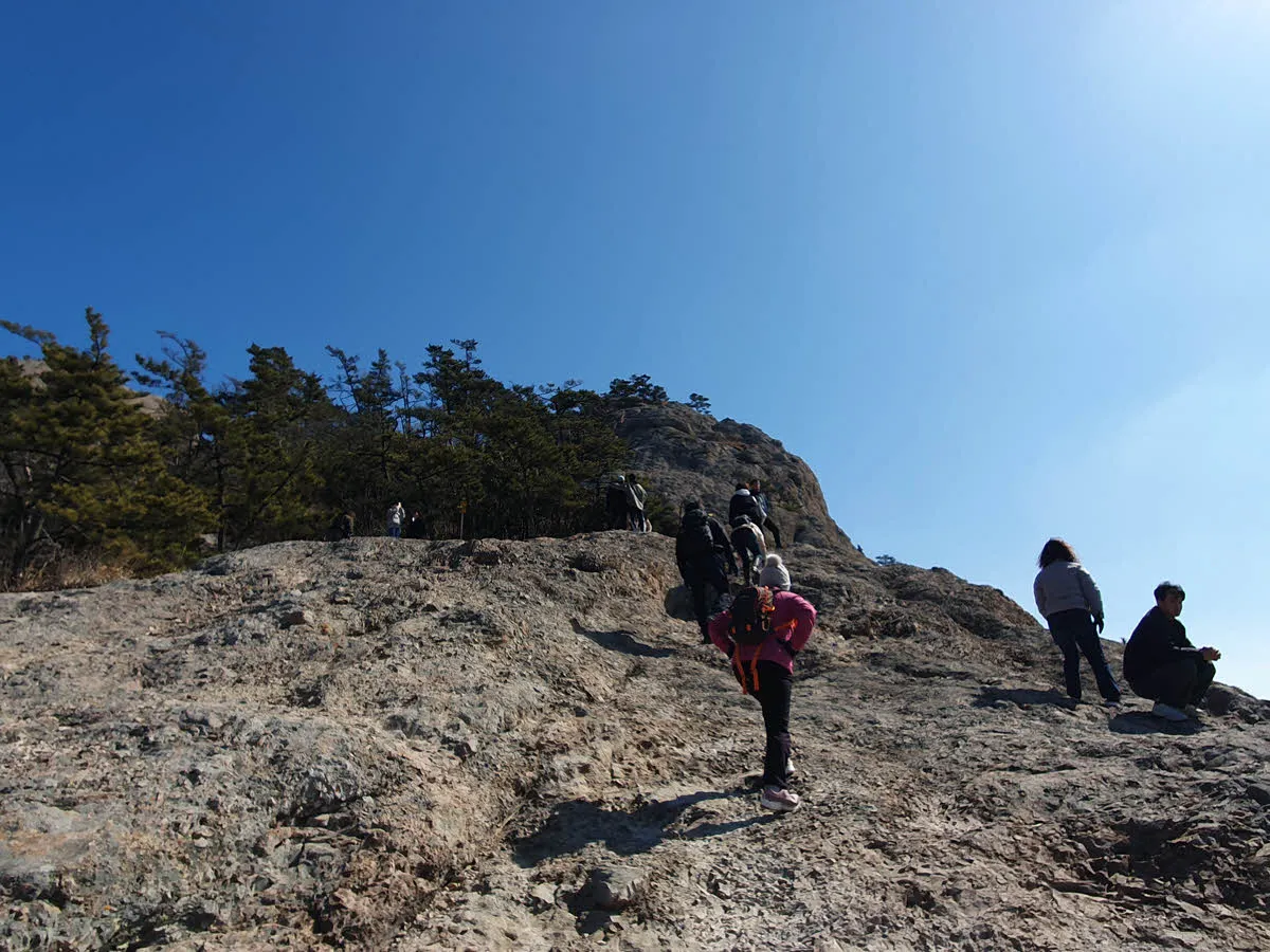 대장봉오르는 길