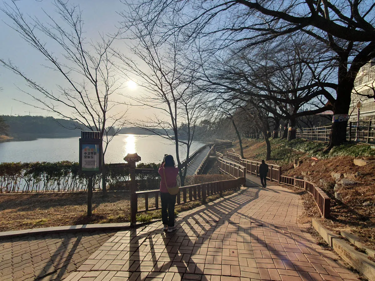 이른 아침의 은파호수공원 둘레길 입구 (공영주차장 feat)