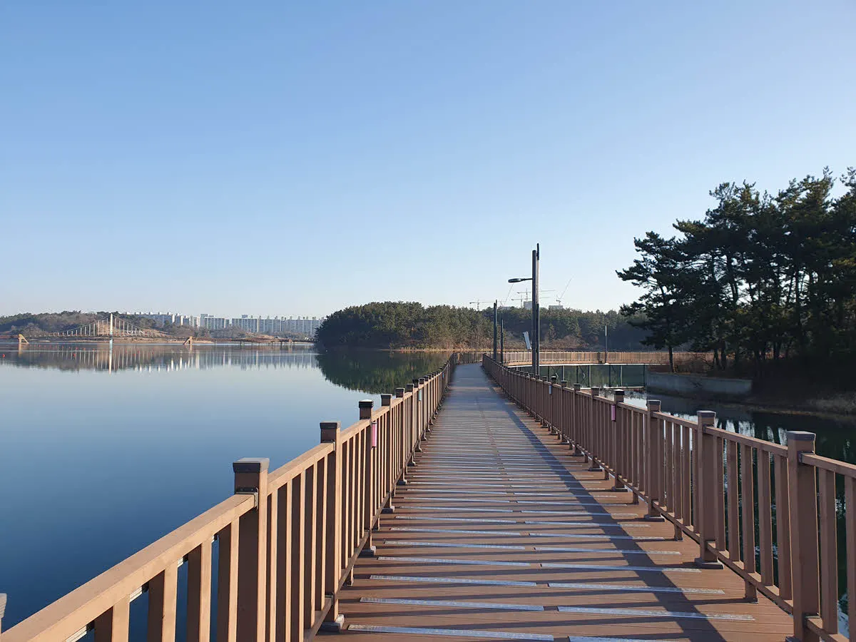 은파 호수공원 별빛다리