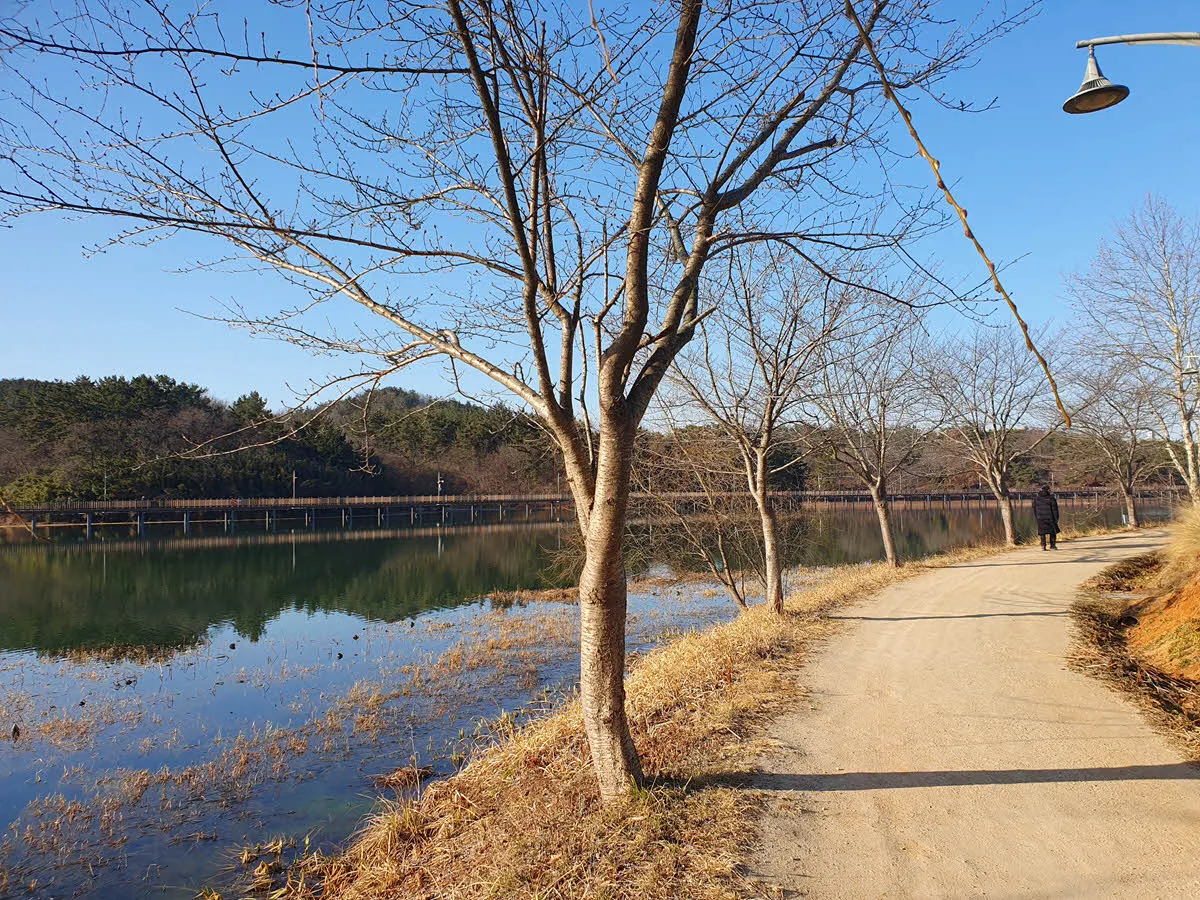 은파호수 수변 산책길