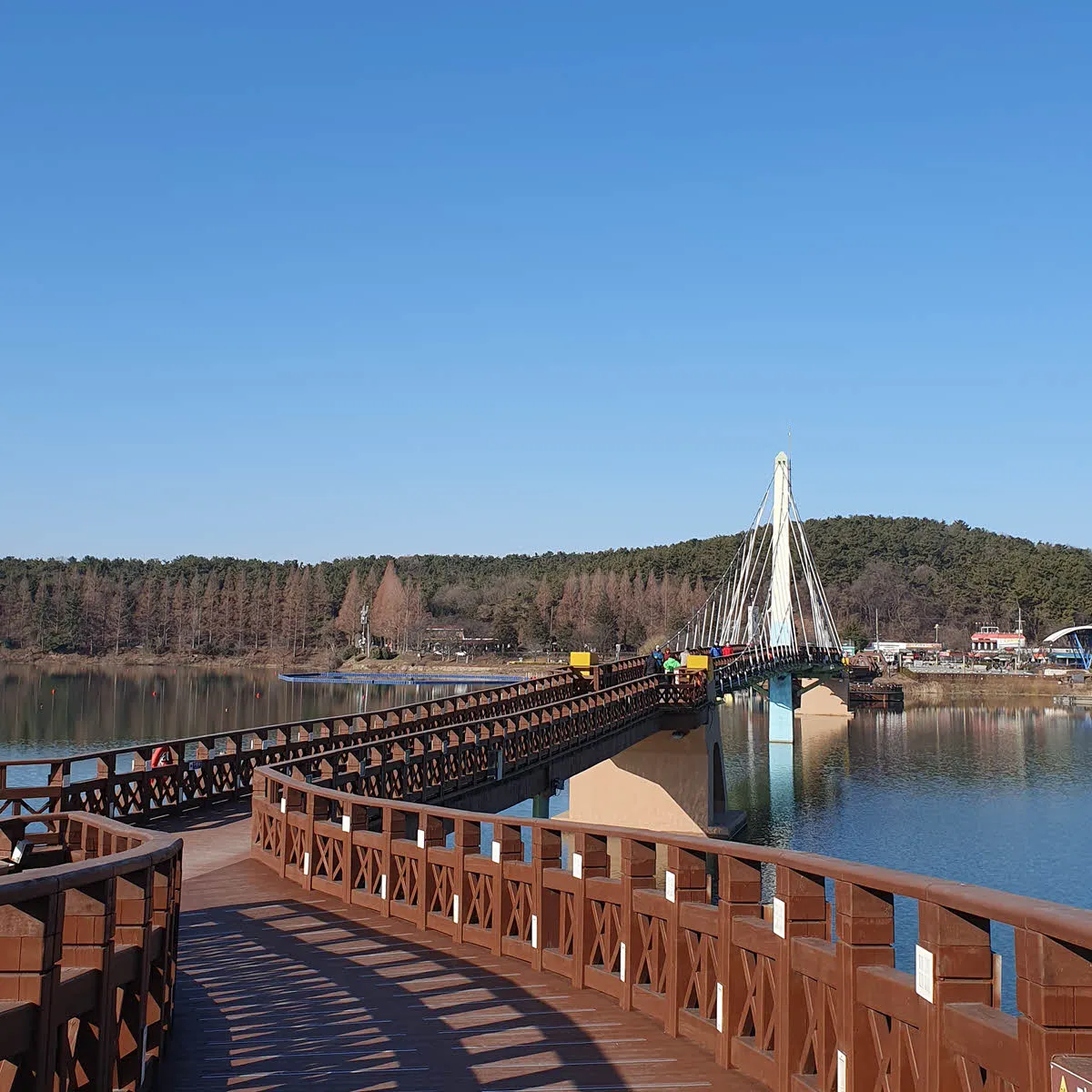 은파호수공원 물빛다리