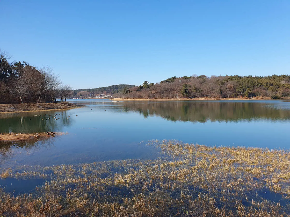 은파호수의 깨긋한 수질