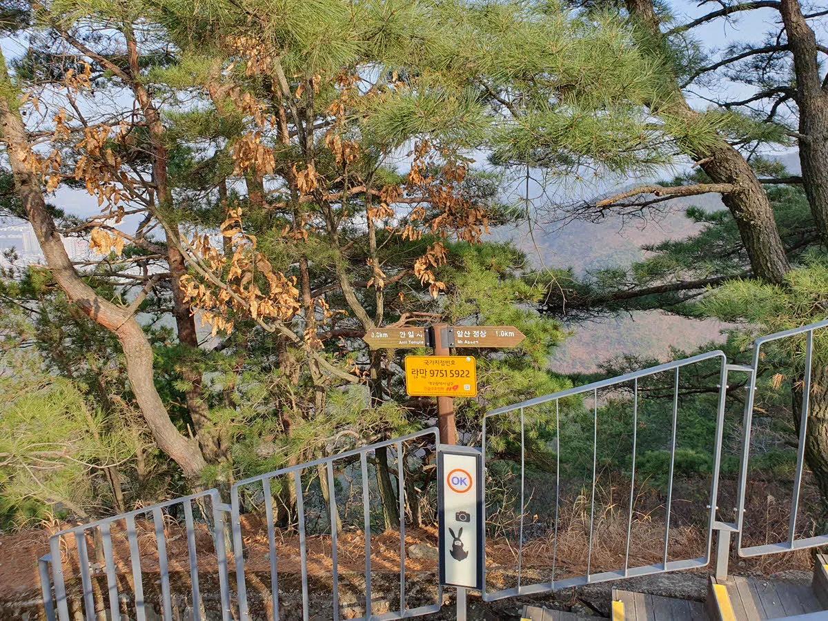 앞산 정상 가는 길