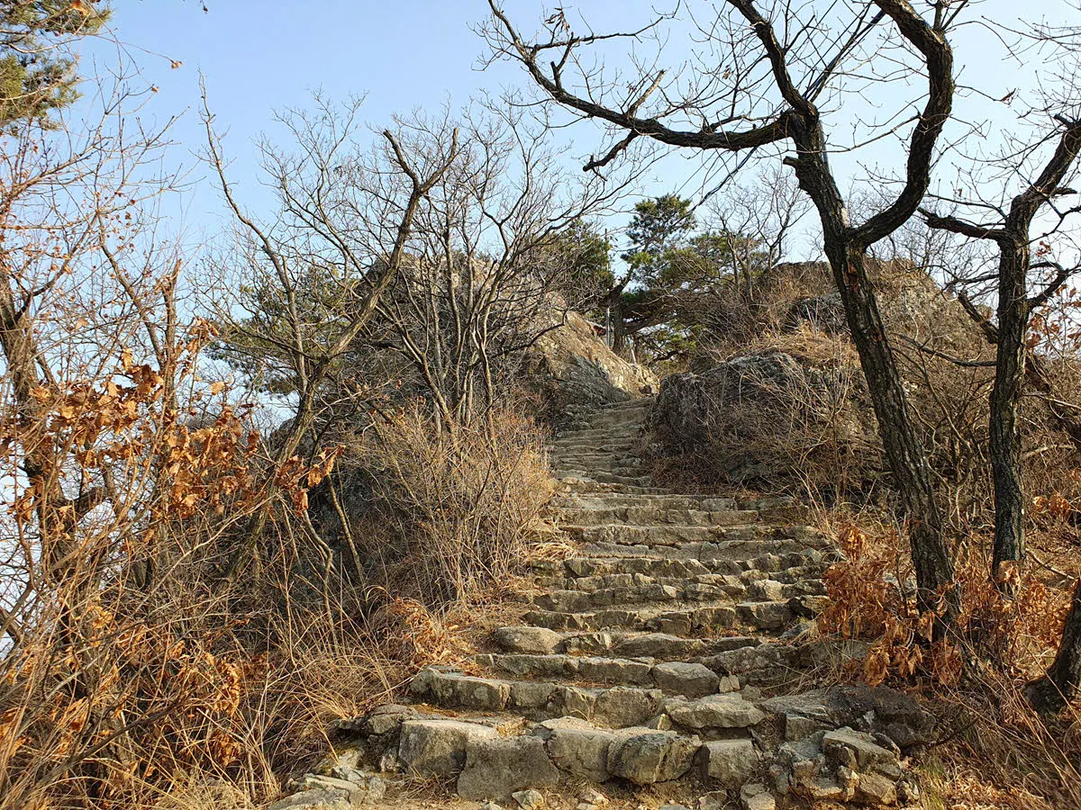 앞산 정상 가는 길