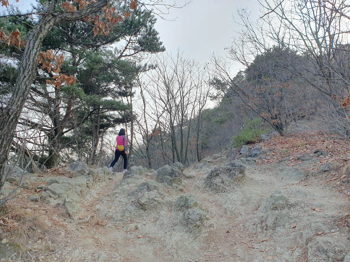 앞산의 정상부가 보인다