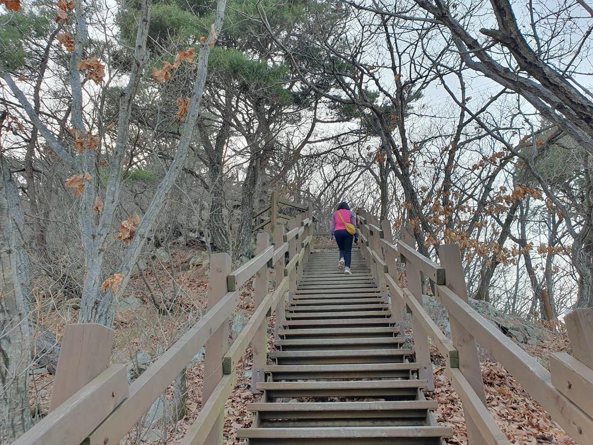 앞산 정상의 마지막 계단