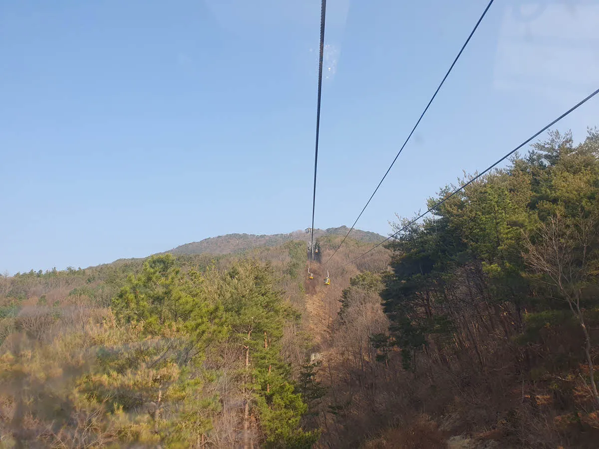 팔공산을 케이블카로 오르기
