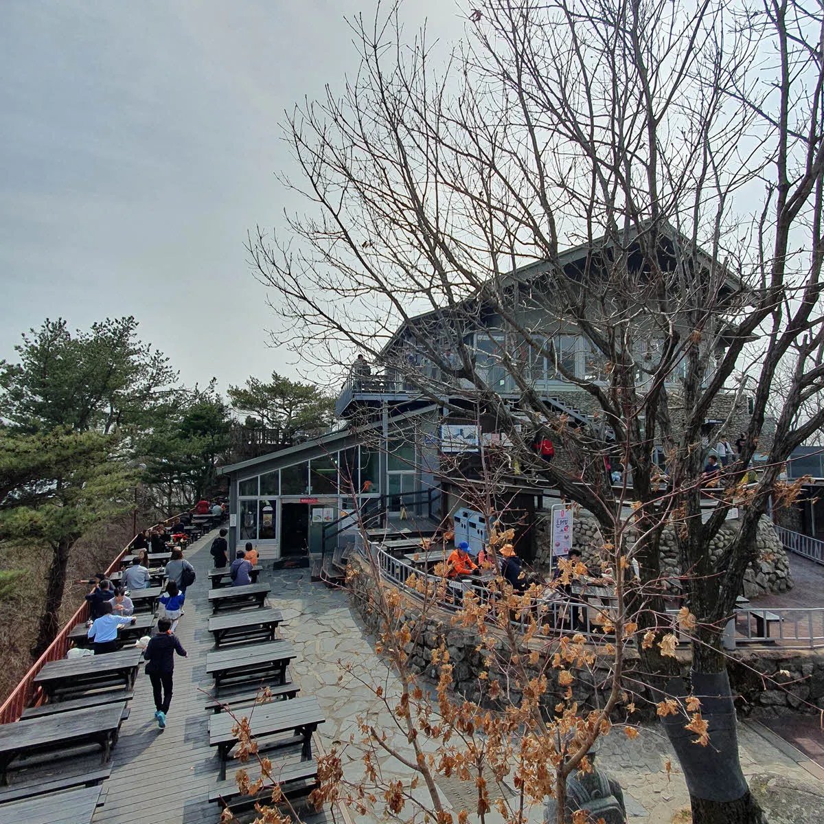 팔공산 케이블카 정상역