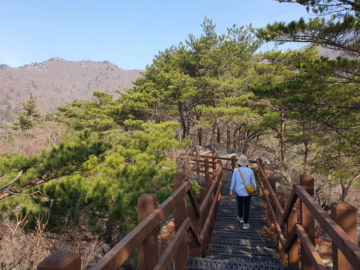 잘 정비된 데크길 구간