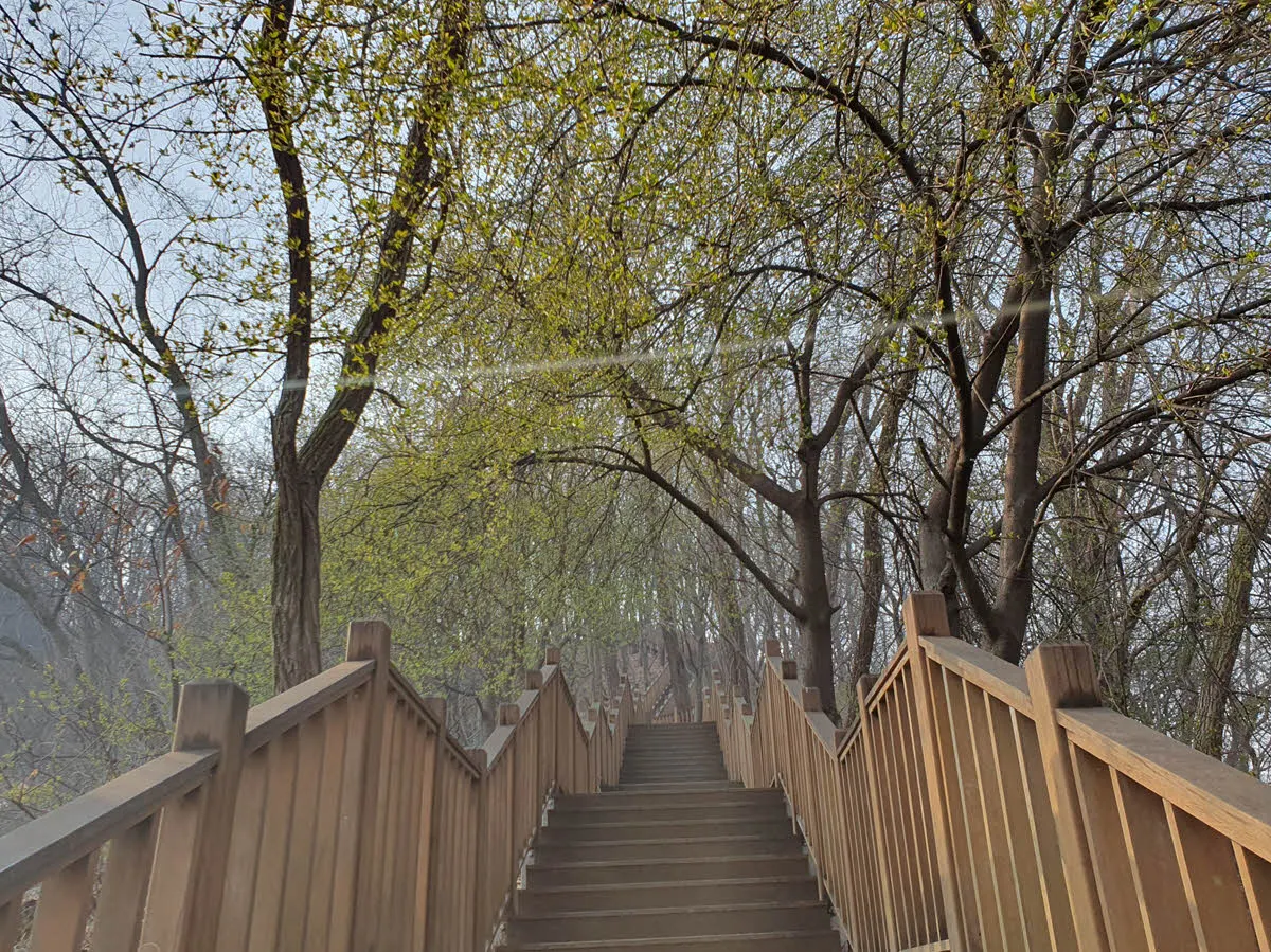 서울랜드에서 청계산으로 이어지는 등산로로 올라가는 계단