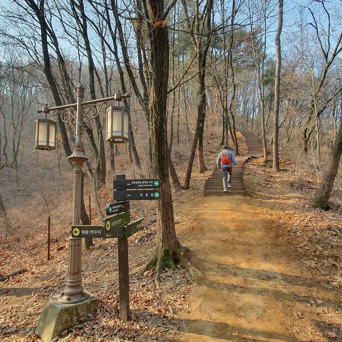 과천 매봉을 오르는 능선과 계단 구간