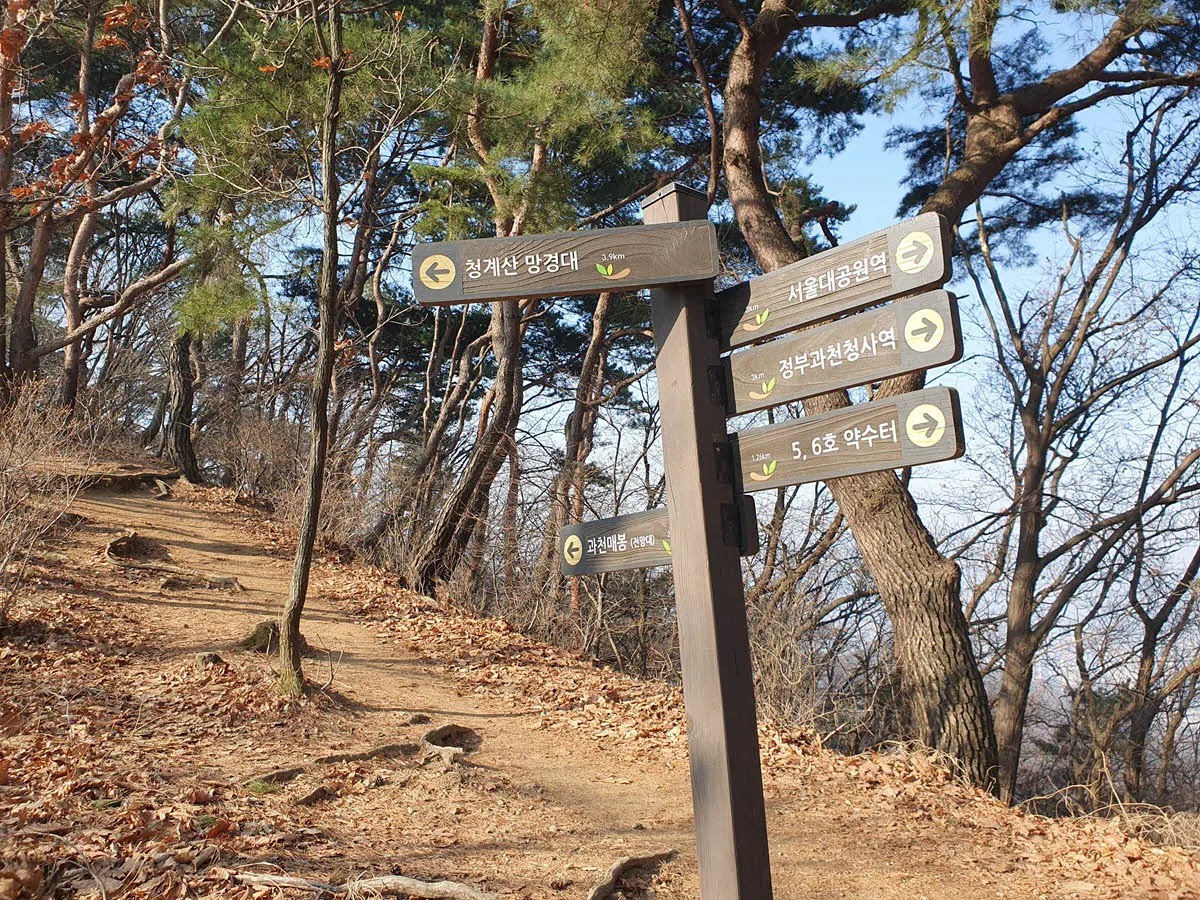 과천 매봉 가는 길 - 올라오는 코스가 참 다양하다