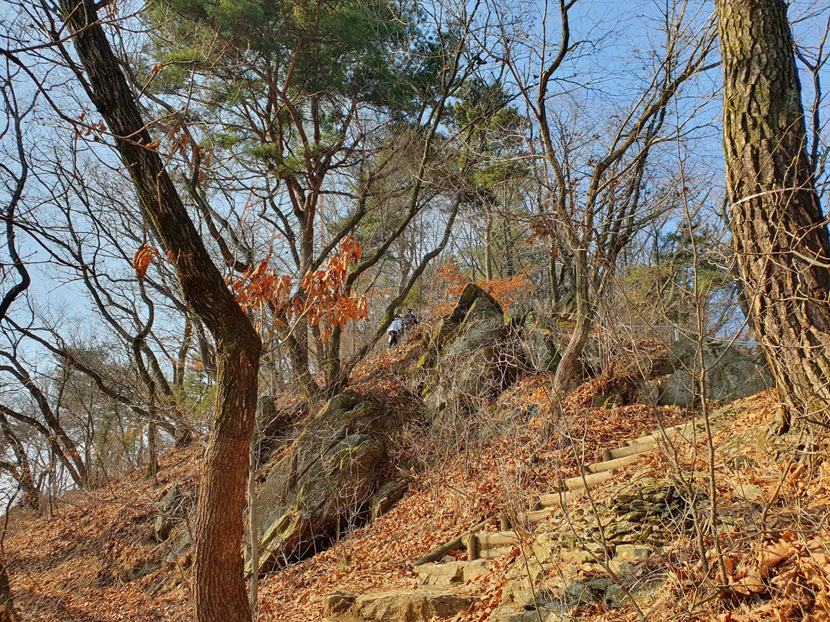 과천 매봉을 오르는 가파른 경사구간
