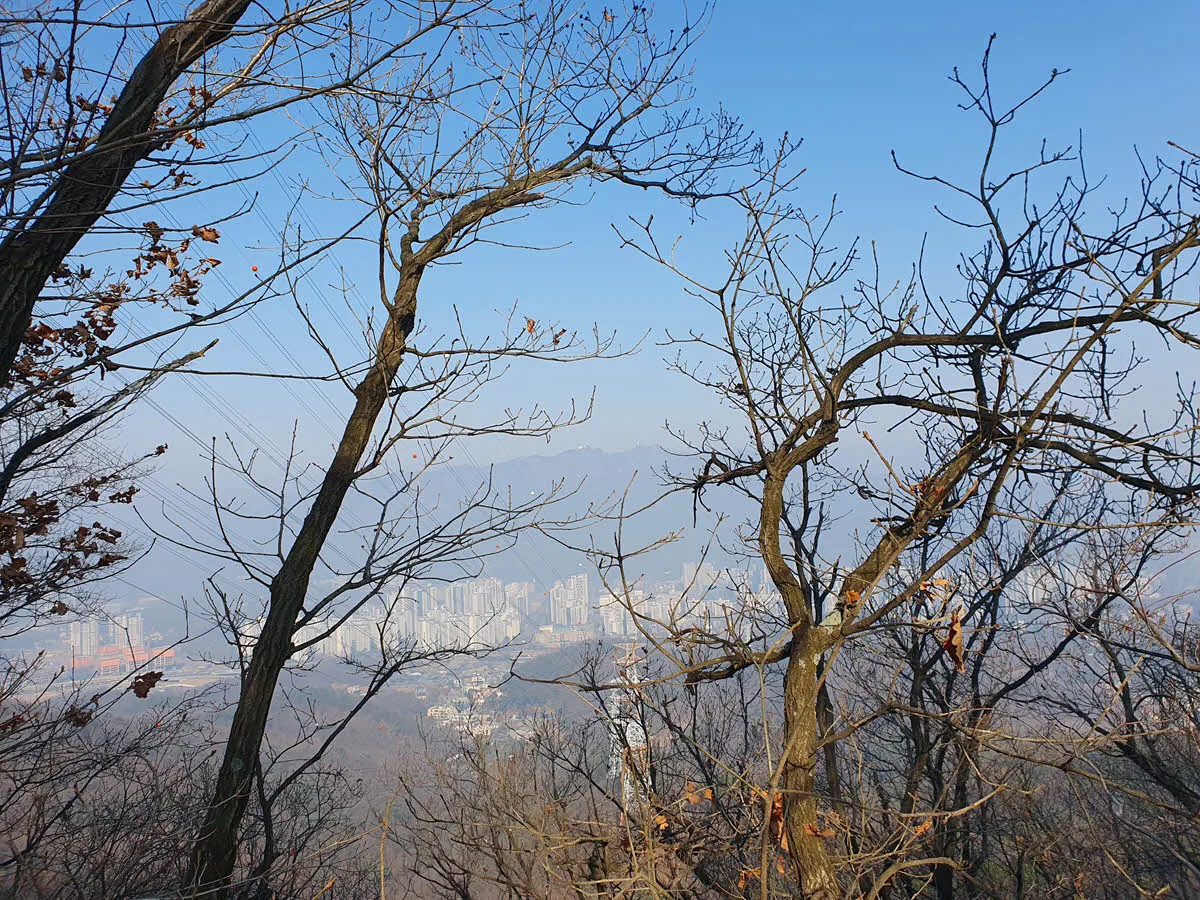 과천 매봉에서 바라본 관악산