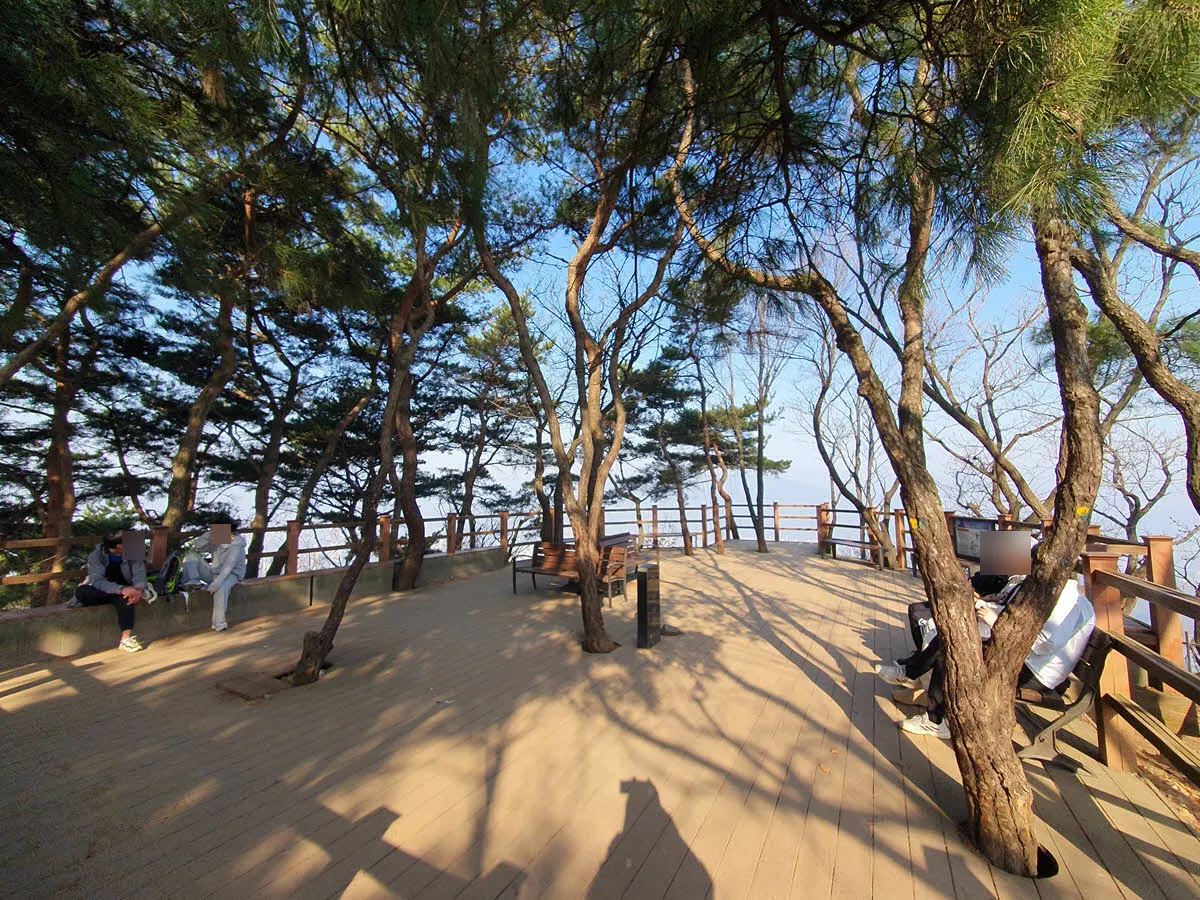 과천 매봉산의 매봉 전망대