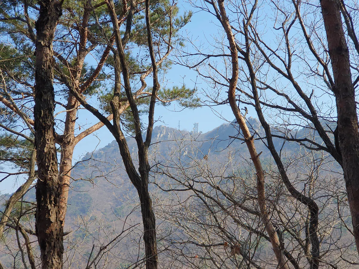 과천 매봉에서 청계산 가는길에 보이는 청계산 정상부