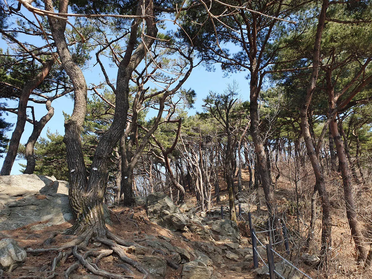 석기봉 오르는 길