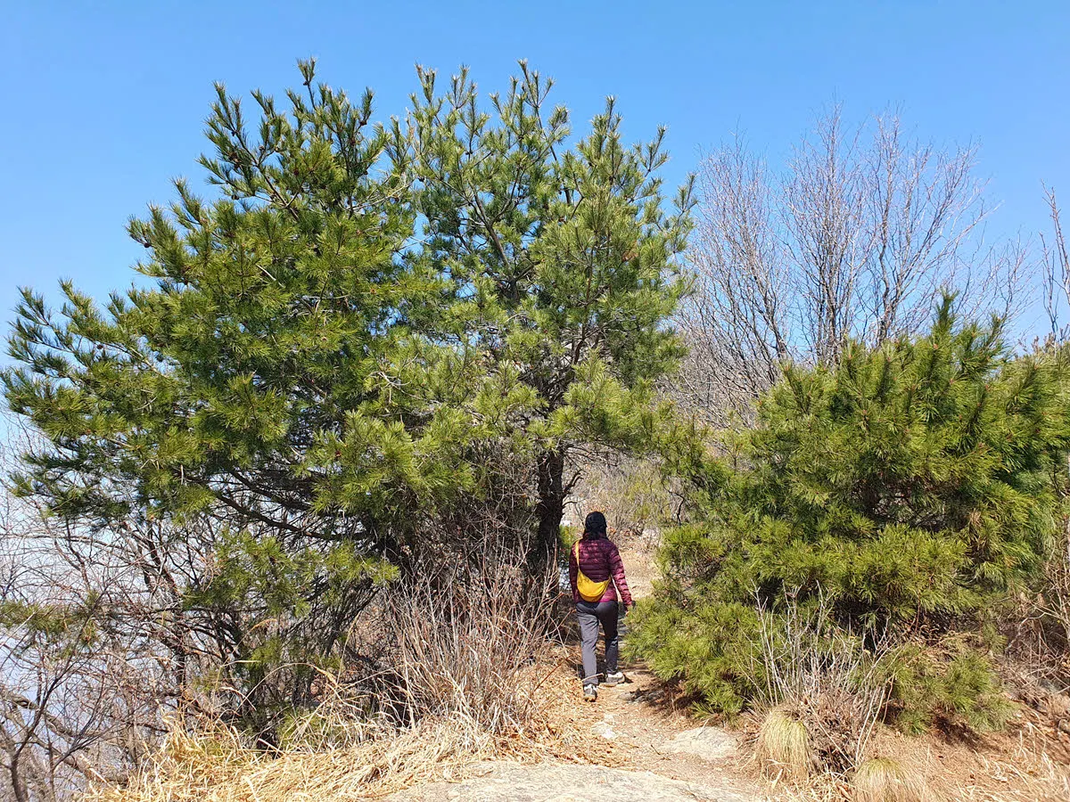 청계산 망경대로 향하는 험한 길