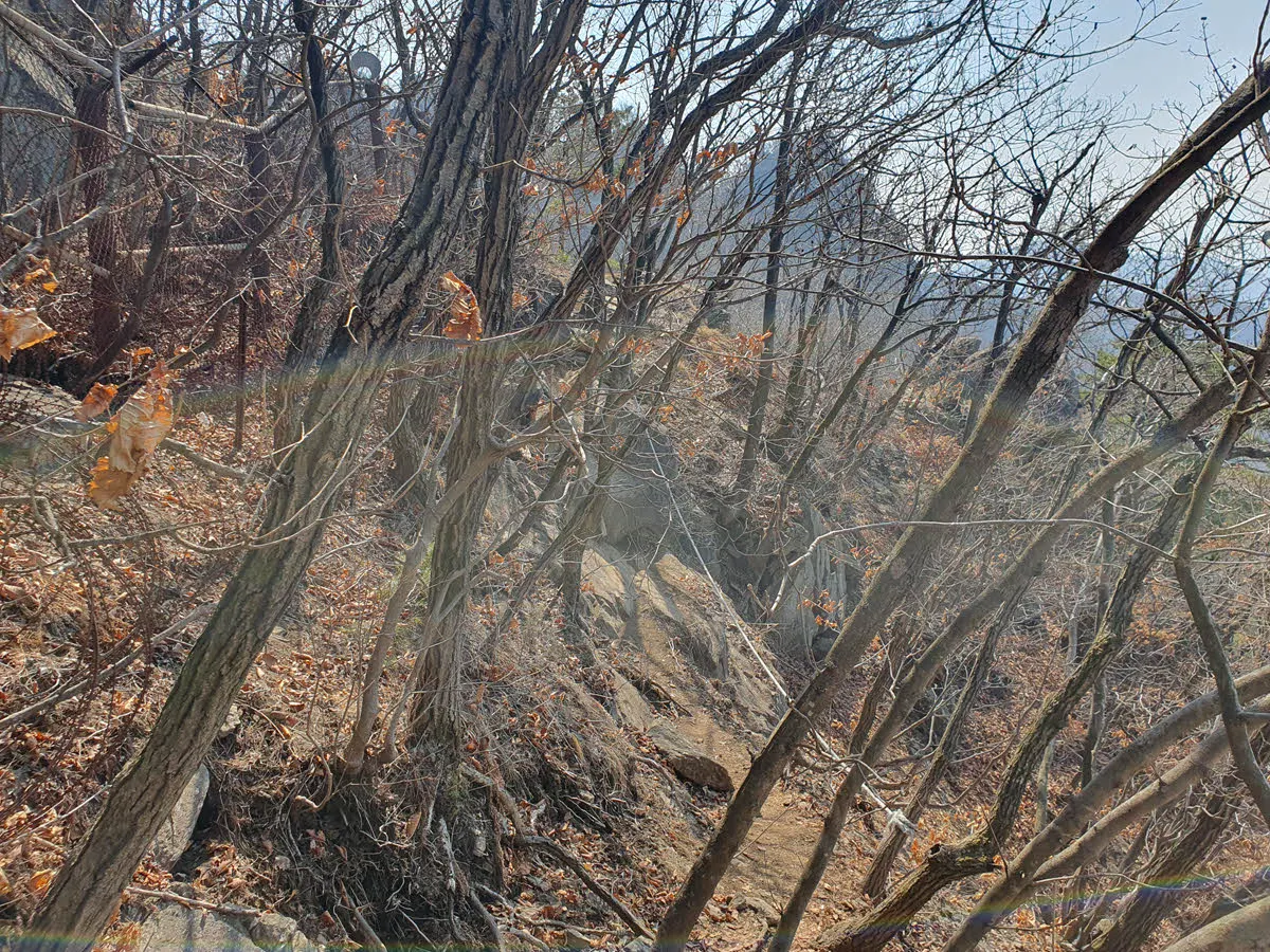 망경대를 우회하는 험한 길